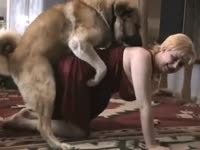 Big tits blonde getting pussy eaten by dog before sex